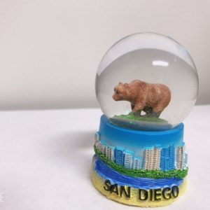 Bear San Diego Small 005
