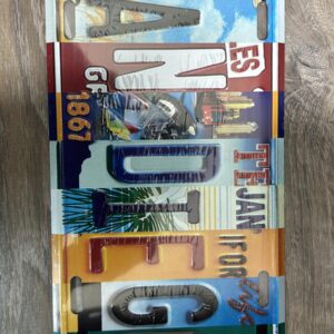 LICENCE PLATE 009 SAN DIEGO ICONS LICENCE PLATE