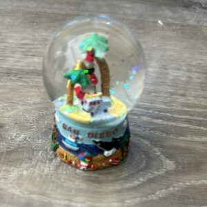 CPRWB002S SD S WOODY/CORONADO/PALMTREE SNOW GLOBE