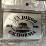 SH MG 1504 SD BEAR CA SHINNING MAGNETS