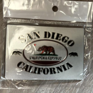 SH MG 1504 SD BEAR CA SHINNING MAGNETS