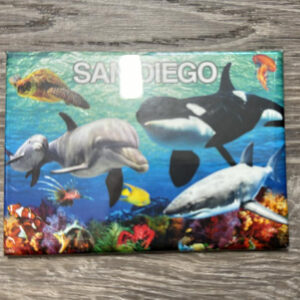 MGV2 9761 SEA ANIMALS  L PHOTO  MAGNET